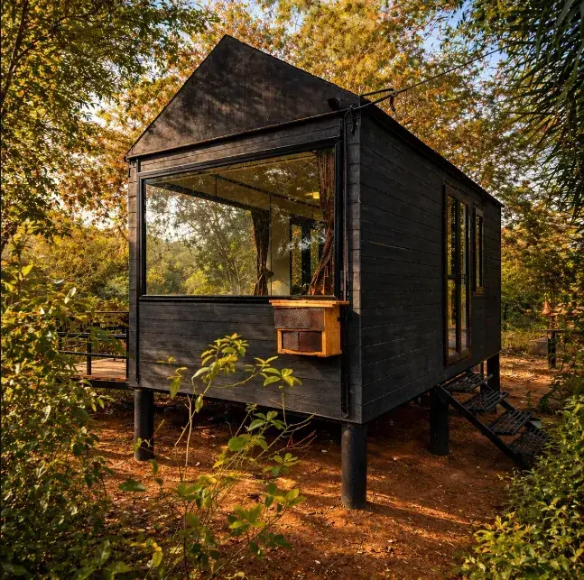 Forest Cabin